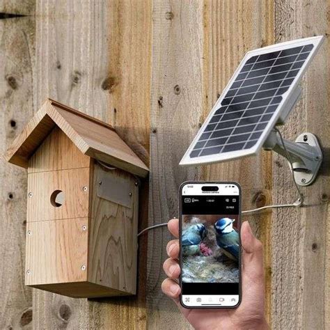 bird box electricity|solar powered bird box camera.